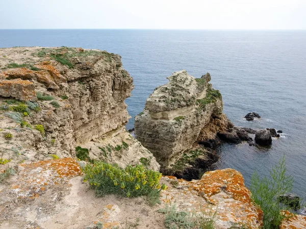Dik kayalıklar ve denizde yalnız kaya ile deniz kıyısı