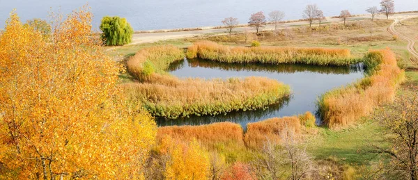 Scenic lake overgrowing with reeds near the reservoir in autumn — Stock Photo, Image