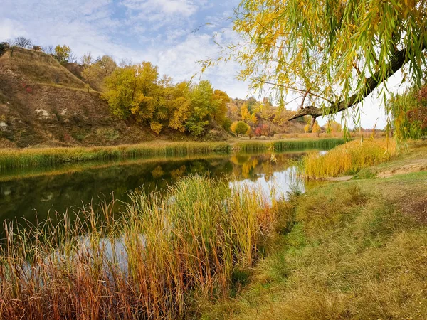 Озеро біля схилу пагорба з берегами, вирощеними озером восени — стокове фото