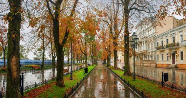 Yağmurlu sonbahar gününde Şehir Bulvarı. Prymorskyi bulvar, Odesa, Ukrayna
