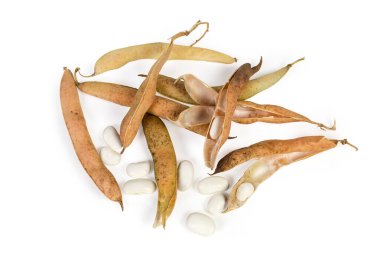 Beyaz arka plandaki kuru kapsüller arasında kısmen kabuklu fasulye.