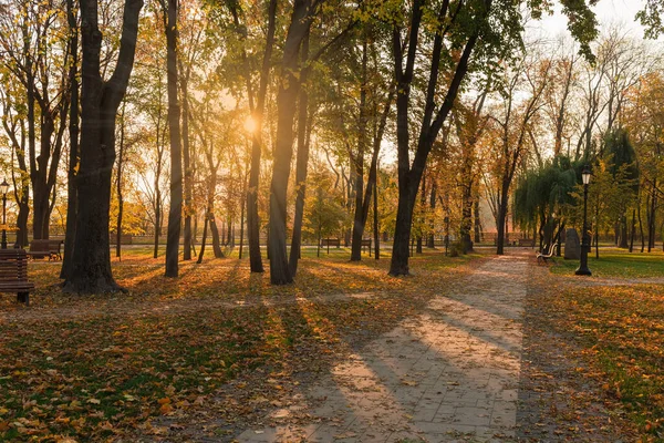 日の出の光が差し込む路地のある秋の公園 — ストック写真