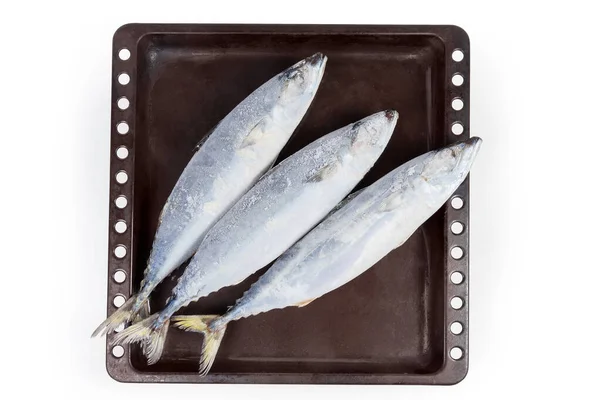 Top view of frozen mackerel in ice glaze on tray — стоковое фото