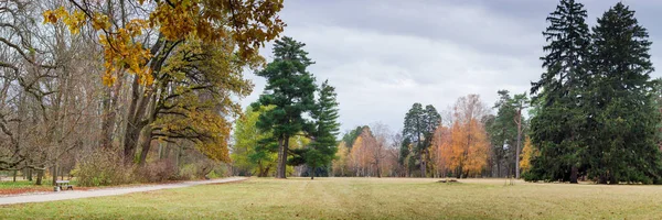 Grande radura nel parco con alberi sul suo bordo — Foto Stock