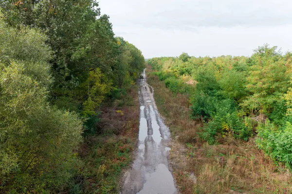 Yağmurdan sonra ormandaki su birikintileriyle dolu toprak yol. — Stok fotoğraf