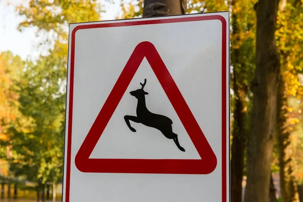 Dopravní značka varuje před divokými zvířaty přecházejícími silnici — Stock fotografie