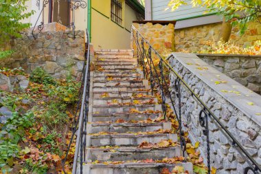 Stone steps leading to the house, covered with fallen leaves