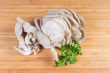 Tahta yüzeyde çiğ istiridye mantarı ve taze maydanoz.