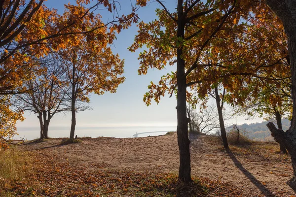 Robles con hojas de otoño en la orilla empinada sobre el embalse —  Fotos de Stock