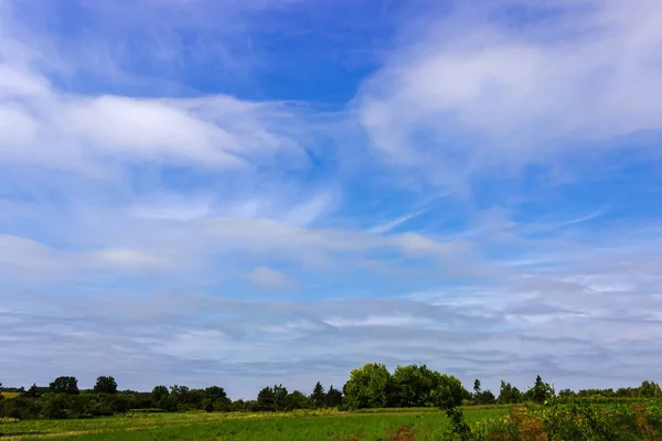 Obloha Cirrusem Nacreózními Mraky Nad Zemědělskými Poli Stromy Obzoru — Stock fotografie
