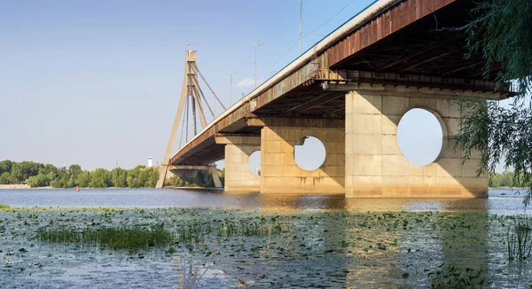 Moderní Silniční Lanový Most Přes Řeku Jedním Sloupem Ocelovými Kabely — Stock fotografie