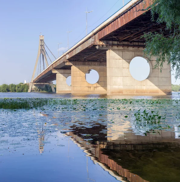 Ponte Moderna Sobre Rio Com Cabos Concreto Aço Vista Baixo — Fotografia de Stock