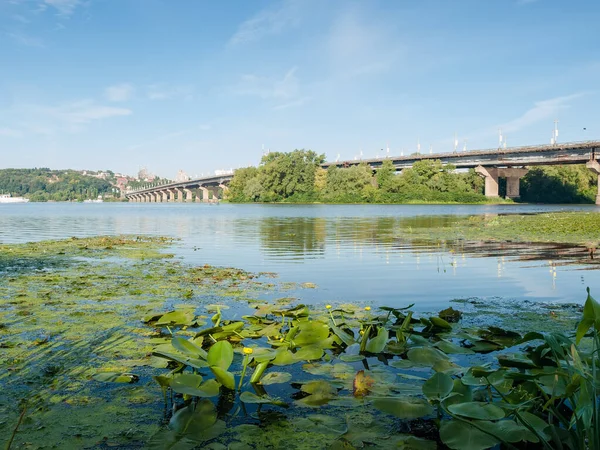 川を渡って具体的なサポートを持つすべての溶接鋼道路橋 前景に睡蓮と左岸からの眺め ウクライナ共和国キエフのドニエプル川に架かるPaton Bridge — ストック写真