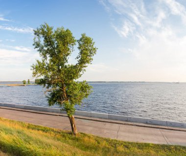 Depoda, çimen yamacı ve beton siperli eski, yalnız kavak ağacı yetişiyor.