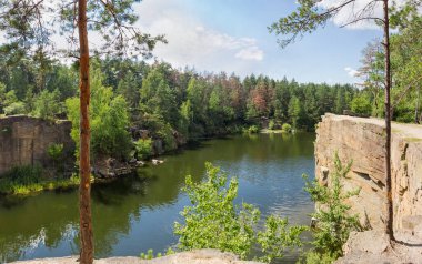 Yaz günü kayalık kıyıları olan küçük manzaralı bir orman gölü ön planda büyüyen çam ağaçlarının gövdeleri.