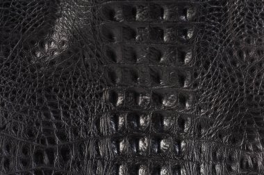 Siyah timsah derisi, kadın çantası, arka plan.