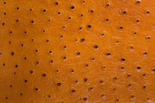 Textuur Van Echt Struisvogelleer Fragment Van Lichtbruine Damestas Achtergrond — Stockfoto