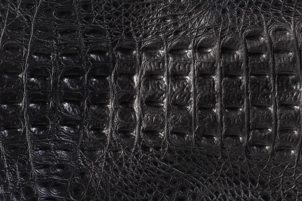 Textúra Fekete Krokodil Bőr Töredéke Női Táska Háttér — Stock Fotó
