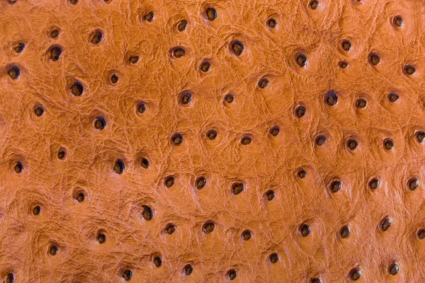 Υφή Από Ανοιχτό Καφέ Γνήσιο Δέρμα Στρουθοκαμήλου Θραύσμα Γυναικείας Τσάντας — Φωτογραφία Αρχείου