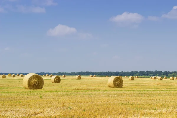 Stora Runda Halmbalar Korn Åkermark Himlen — Stockfoto