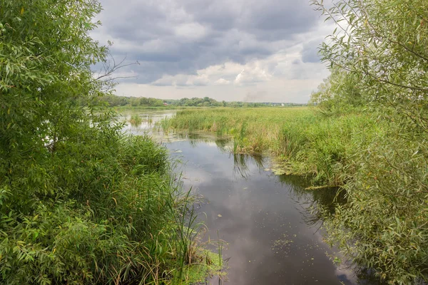 Vlak Meer Met Stilstaand Water Begroeid Met Moerasplanten Omgeven Door — Stockfoto