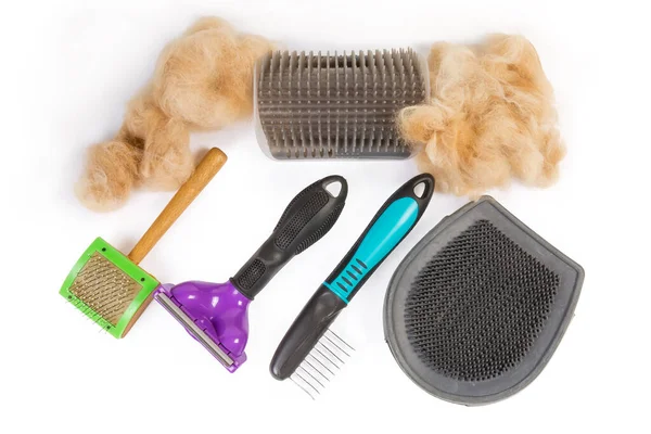 Set Different Combs Brushes Care Pets Hair Hair Clumps White — Stock Photo, Image