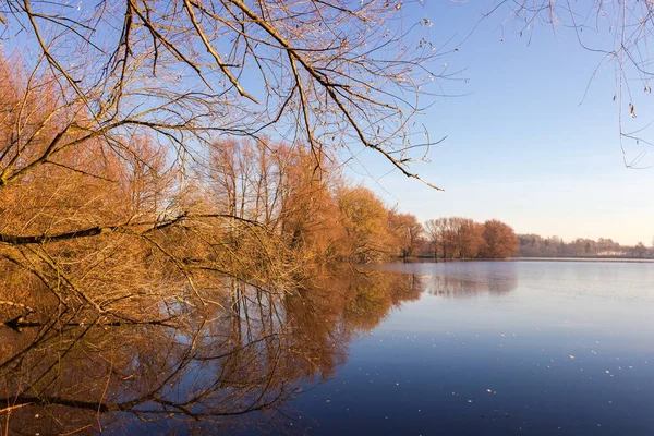 Ochtendvijver Omgeven Door Bomen Met Omgevallen Bladeren Bij Rustig Weer — Stockfoto