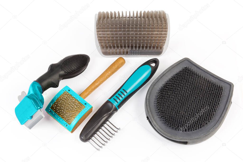 Different combs and brushes for care of pets hair on a white background