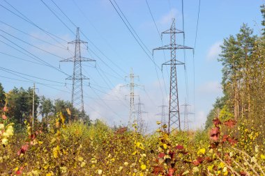 Ormandaki sonbahar çalıları arasında çeşitli tasarım kuleleriyle donatılmış farklı elektrik hatları.