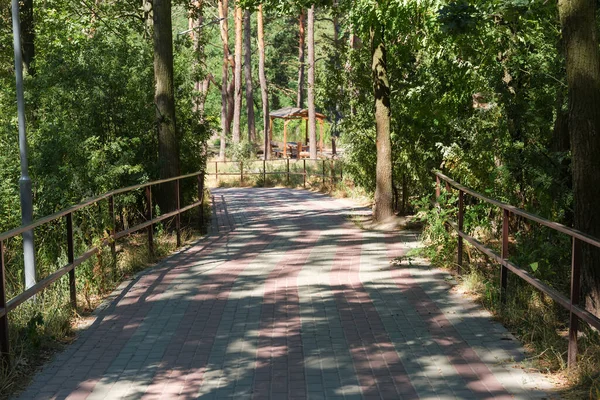 Zakrzywiona Ścieżka Wybrukowana Kamiennymi Płytami Letnim Parku Balustradami Drzewami Obu — Zdjęcie stockowe