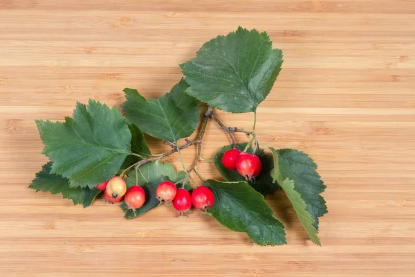 Ramoscello Biancospino Con Foglie Verdi Frutti Rossi Maturi Sulla Superficie — Foto Stock