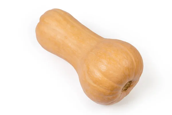 Hele Rijpe Gele Butternut Pompoen Liggend Een Witte Achtergrond — Stockfoto