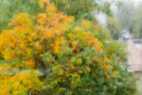 雨の日には 窓ガラスの上の小川や水滴の背景や紅葉のぼやけた木々の景色などが雨の日に濡れたガラスを通して見える — ストック写真