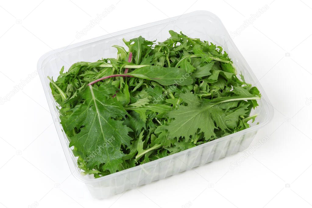 Mix of fresh leaves of arugula, green chard and mizuna in transparent plastic container for retail on a white background