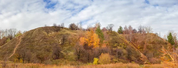 陡峭的山坡 稀疏地生长着各种不同的树 在秋末的前景上 纵观全景 — 图库照片