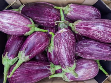 Mor-beyaz çizgili ciltli taze çiğ patlıcan, karton kutuda patlıcan olarak adlandırılan, sebze pazarında, üst görünümde.