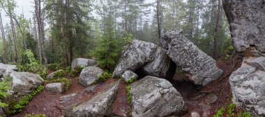 Orman bir dağın zirvesinde kayalık çıkıntılar ön planda ve sis ağaçların arasında, panoramik manzara ilkbahar yağmurlu günlerinde  