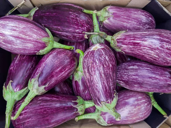 Mor-beyaz çizgili ciltli taze çiğ patlıcan, karton kutuda patlıcan olarak adlandırılan, sebze pazarında, üst görünümde.