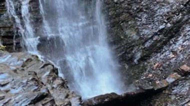 Şelale dağdaki nehirden ormandaki uçuruma, yakın mesafeden.