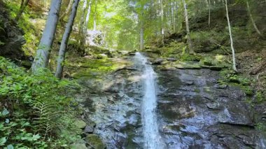Narinets şelalesi Ukrayna Karpatları ormanlarındaki uçurumdan düşüyor.