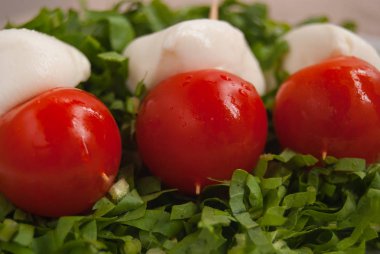 Gıda bileşimi mozzarelle ve taze domates yeşil salata kesme