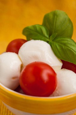 Caprese taze İtalyan Gıda kompozisyonu yakın çekim