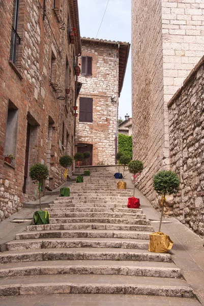 Monter Des Marches Avec Des Plantes Buxus Pots Long Chemin — Photo