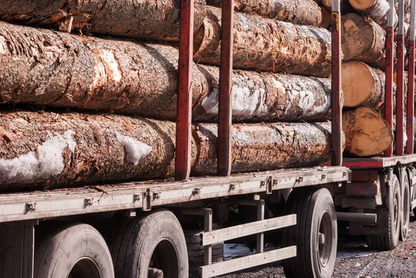 Trunks piled up at the foot of the mountain on a truck