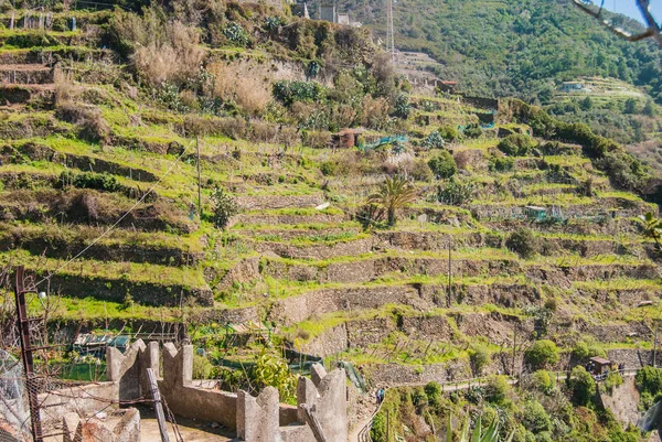 Deniz tipik tarım çözümleri İtalya tepelerde dar adımları