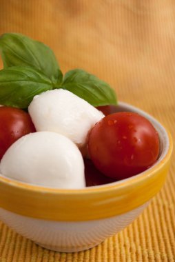 Taze gıda kompozisyon caprese İtalyanca dil denilen yakın çekim