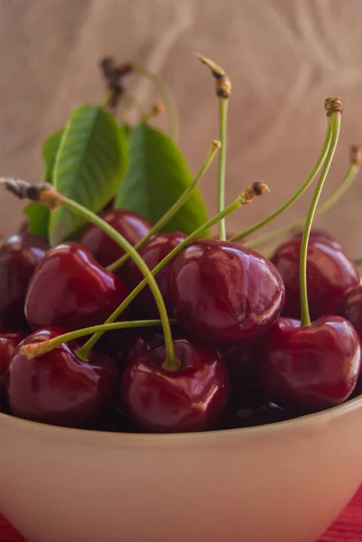 Teljes Frissen Szedett Fáról Cseresznye — Stock Fotó