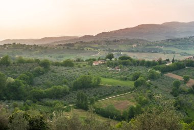 Zeytin ağaçları ve diğer bitkileri gün batımında tepeler arasında tarım arazileri üzerinde Panorama