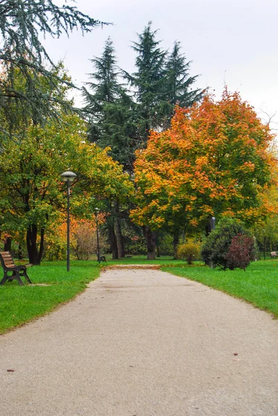 Drzew Kolorowych Liści Jesienią Brud Ścieżki — Zdjęcie stockowe