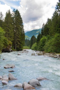 Nehir ortasında Madonna di Campiglio yakın Cenova Vadisi'nde bozulmamış doğası